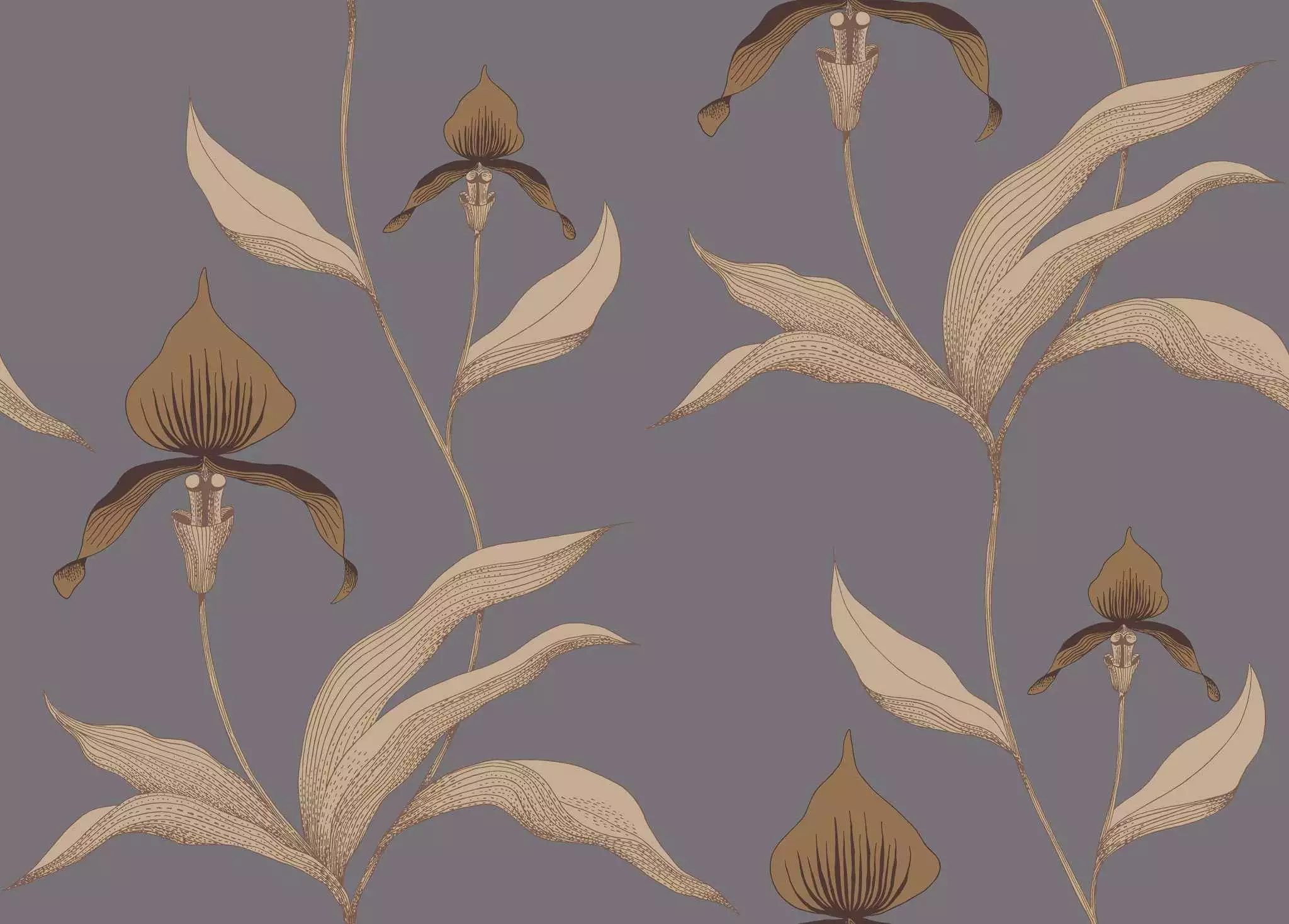 Orchid No. 56 - Blumen - Cole & Son