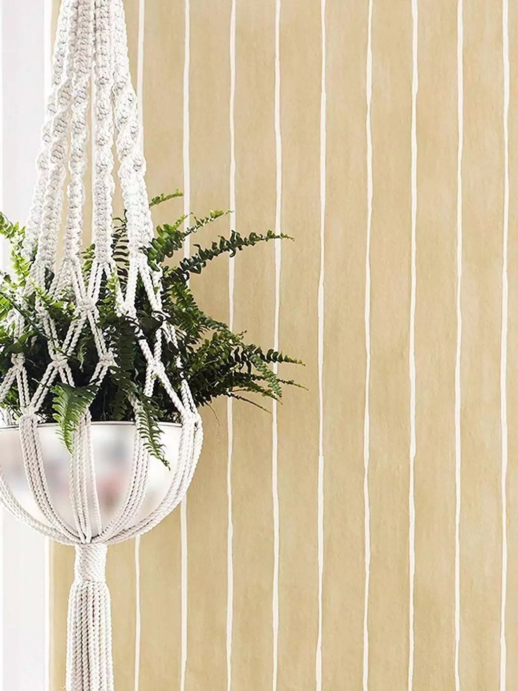 Marquee Stripe - Streifen - Ocker - Weiß - Cole & Son