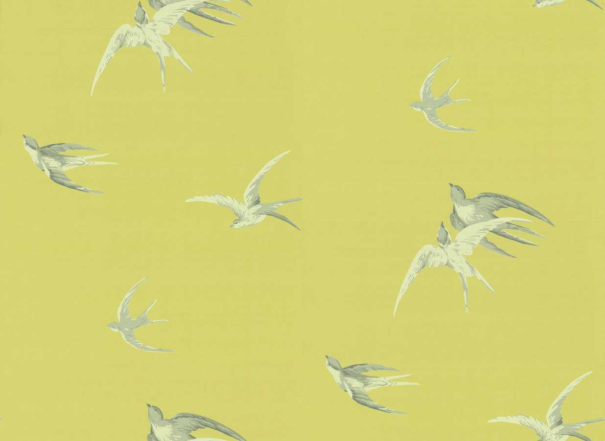 Swallows, col.01 - design