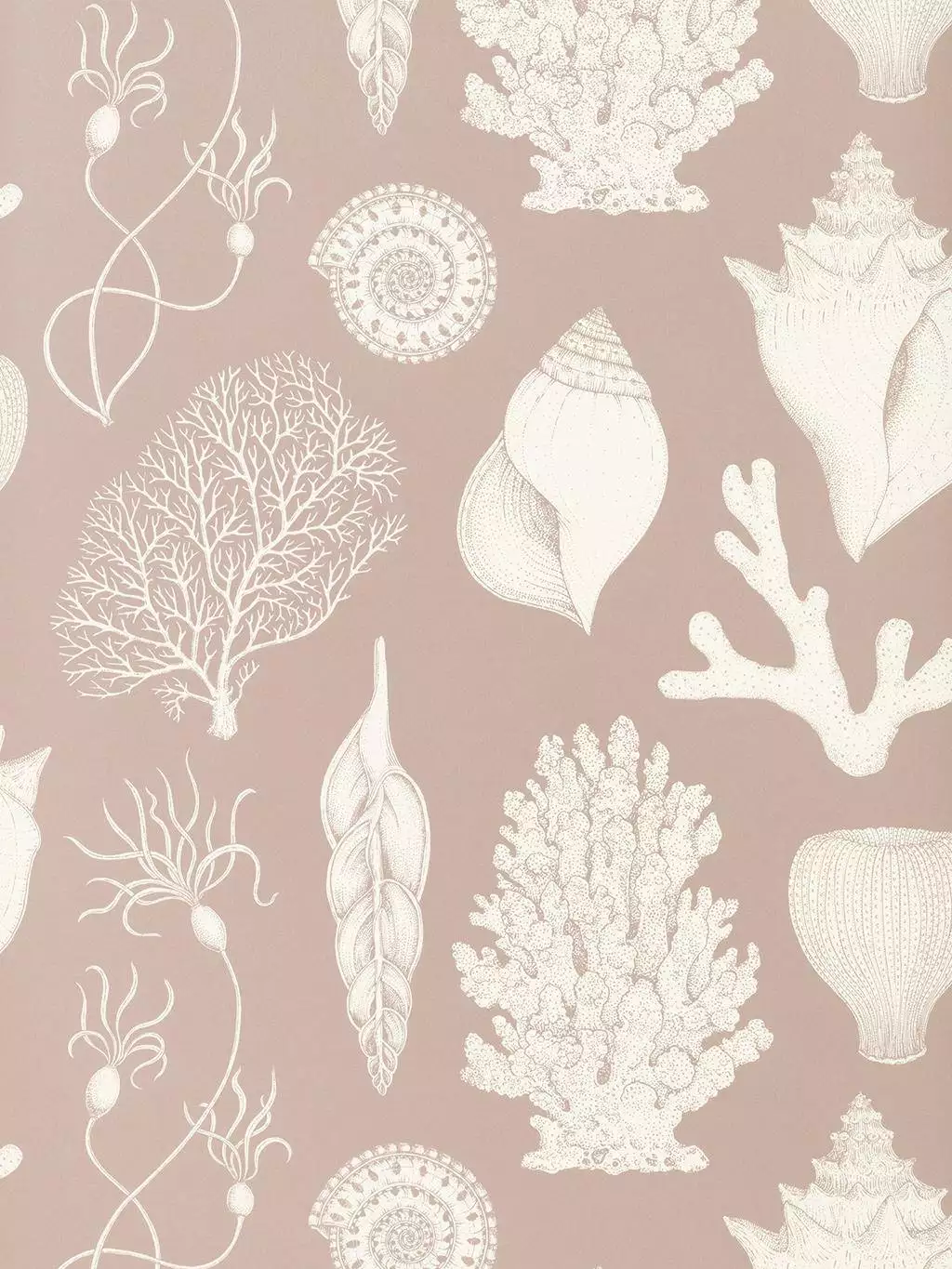 Shells - Rose - Korallen - Nautic - Creme - Hellbraun - ferm LIVING
