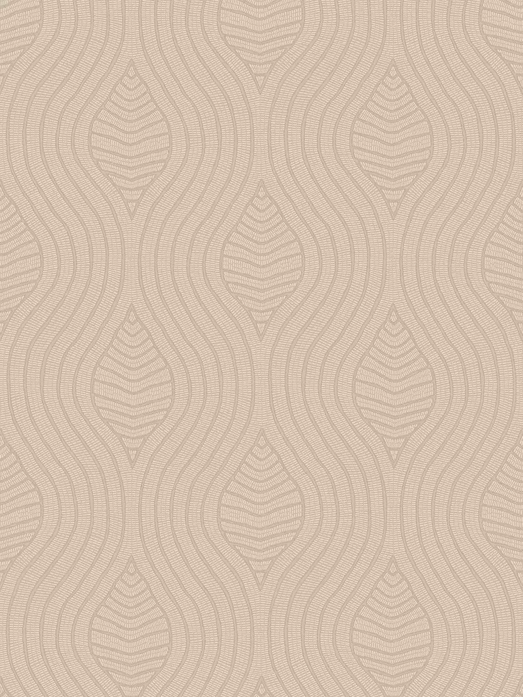 Brodelia, col. 58