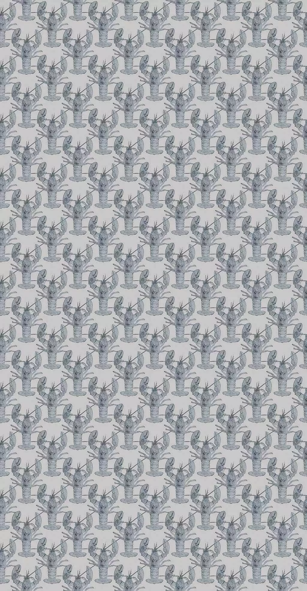 Lobster, grey