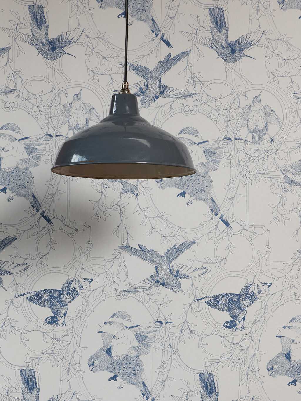 Taxidermy Birds, cobolt - design