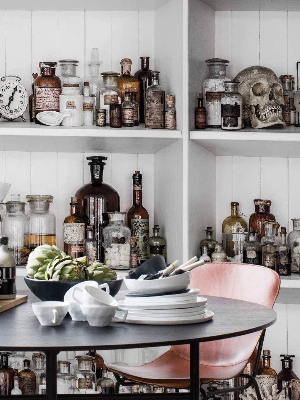 Cabinet of Curious - tapete mit