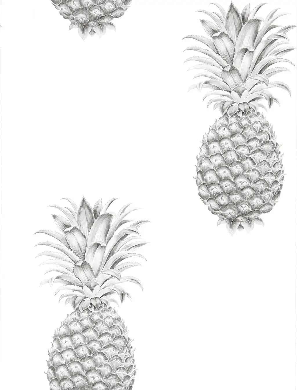 Pineapple Royale, col.04