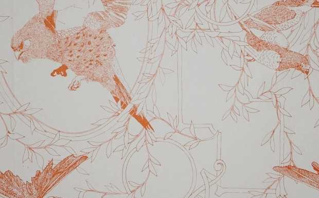 Taxidermy Birds, tangerine - design