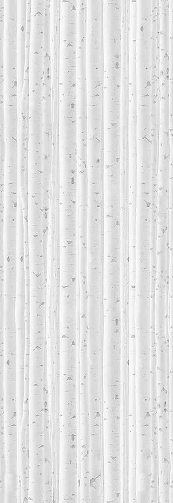 BirchesWood - designer