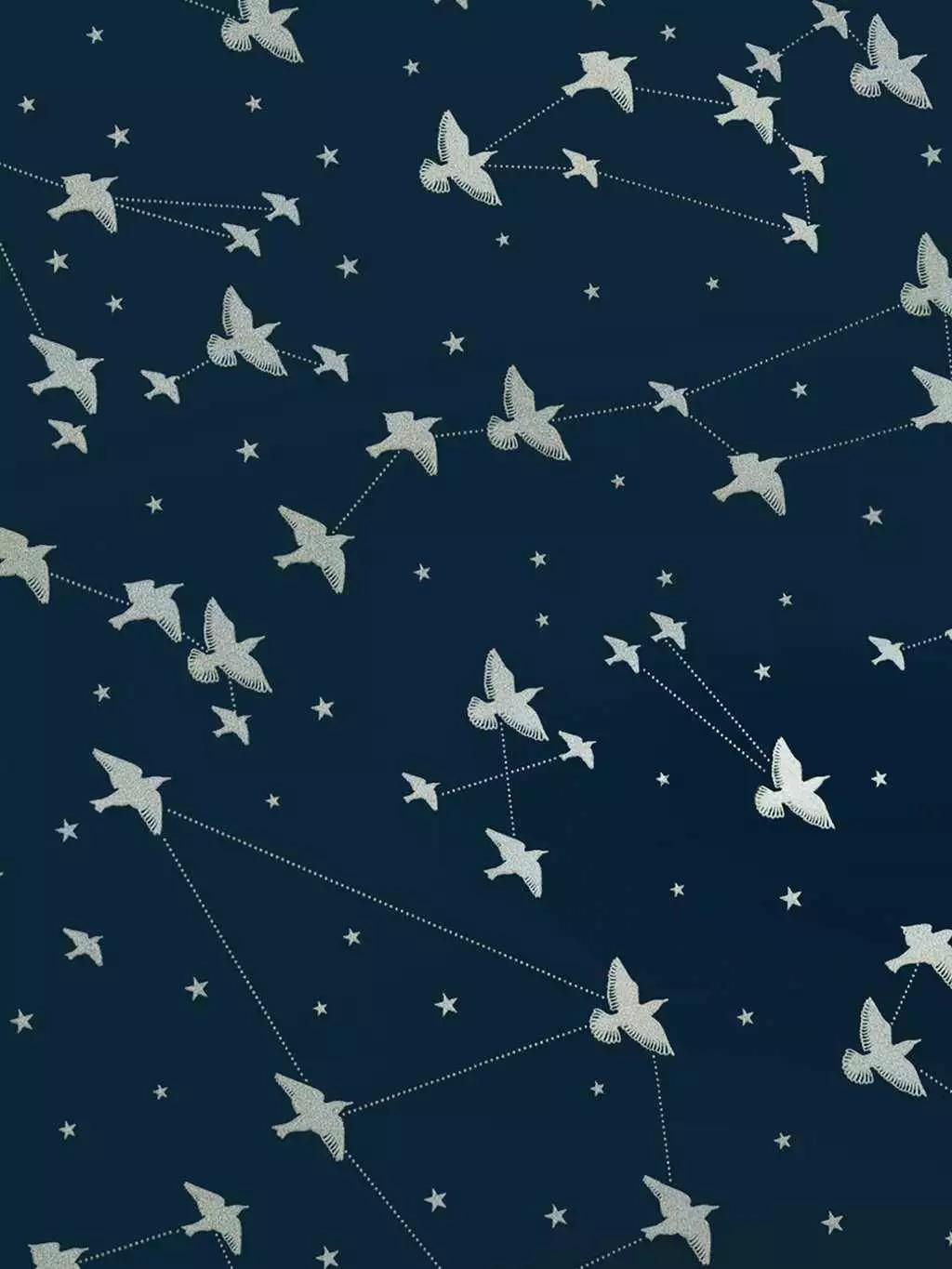 Star-ling, midnight & silver