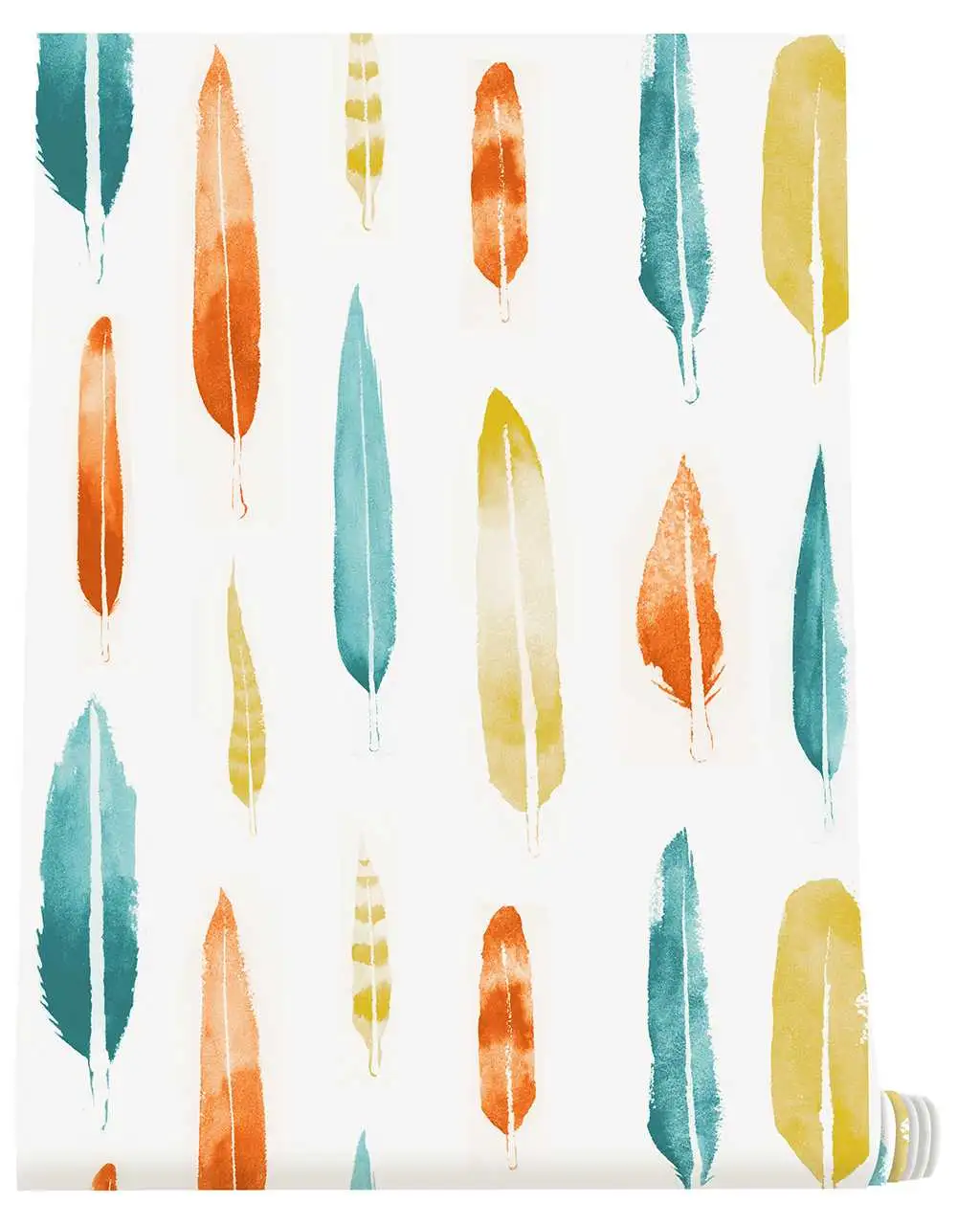 Feathers, Lido