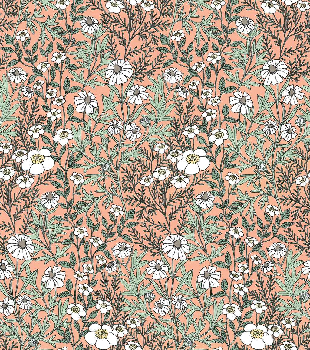 Feverfew, coral