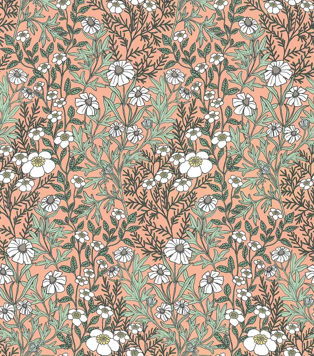 Feverfew, coral