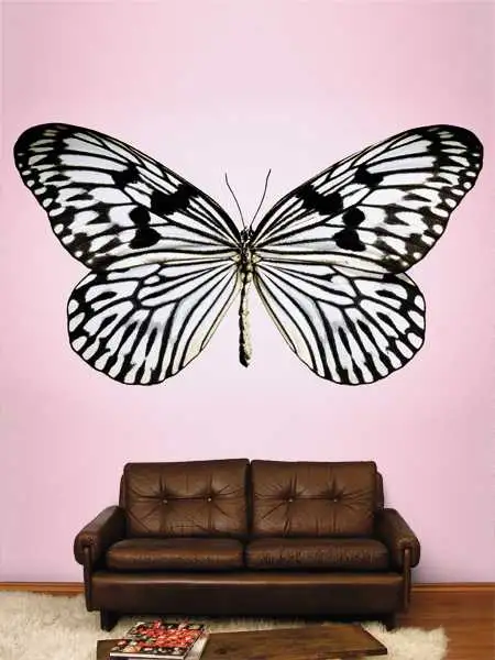 Raumbild Papillon, No.4 - Schmetterlinge - Tier Tapeten - Carlos