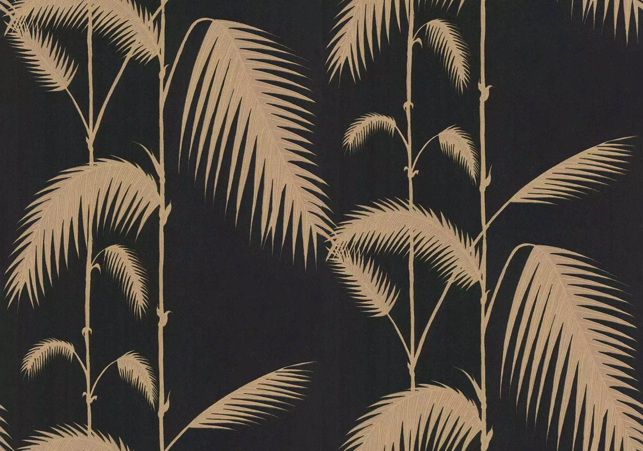 Palm Leaves, col. 14