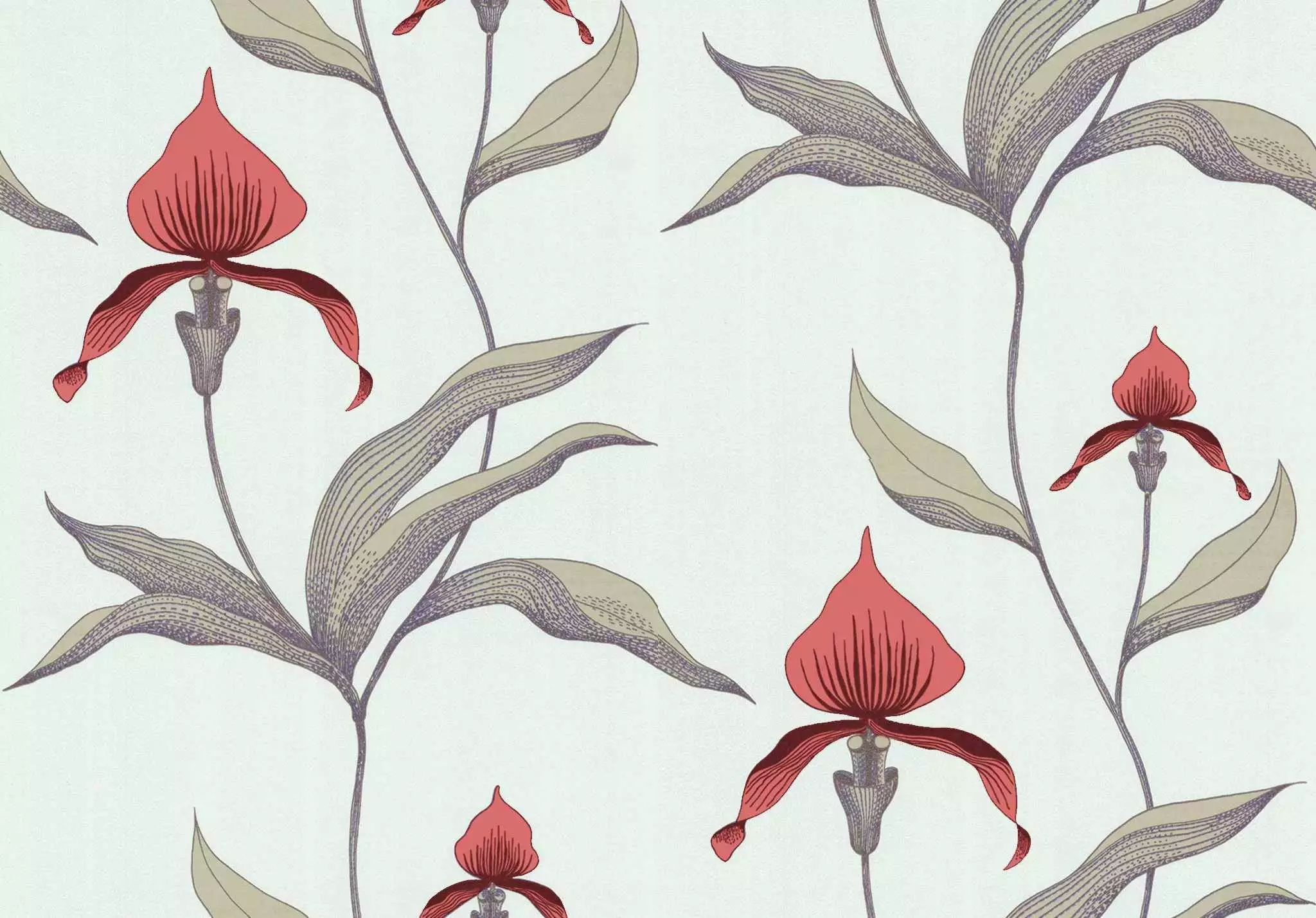 Orchid No. 33