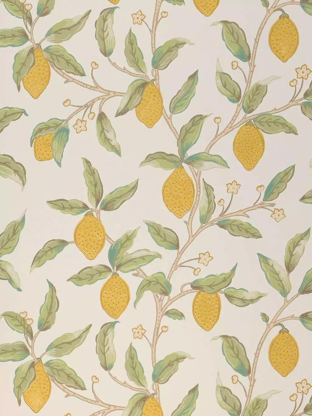 Lemon Tree, Bay Leaf