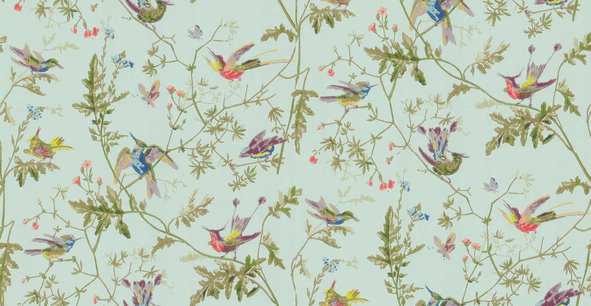 Rapport Hummingbirds, col.04 - Blumen - Tapeten mit Vogelmotiven - Tier Tapeten - Mint - Multicolor - Cole & Son