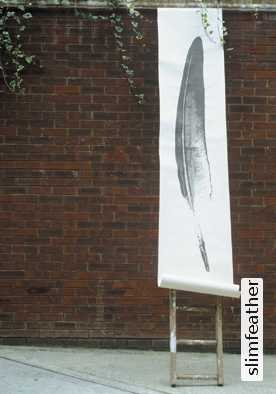 slim feather - tapete von