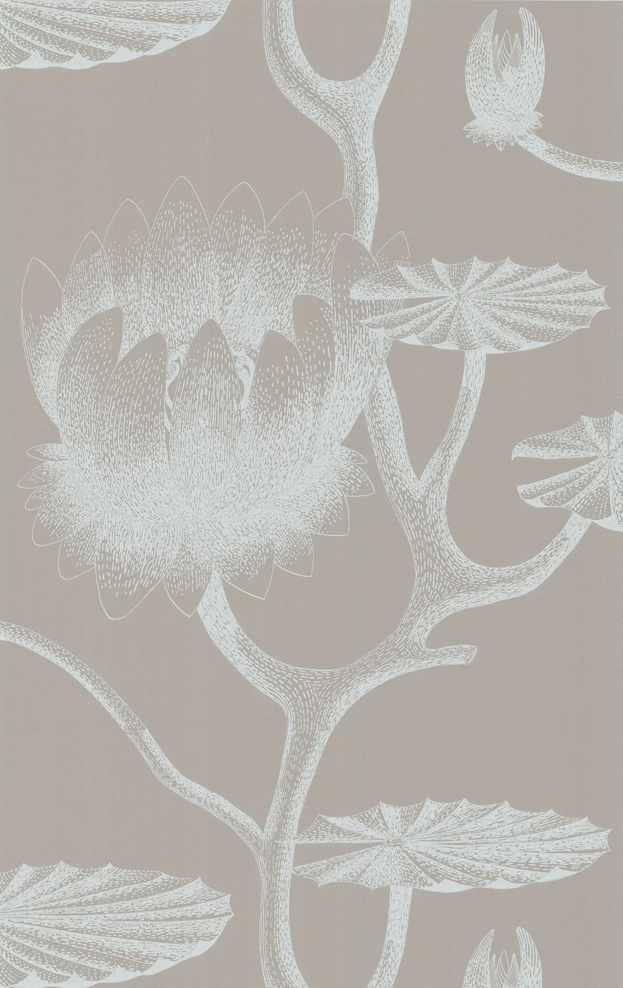 Lily, col. 10