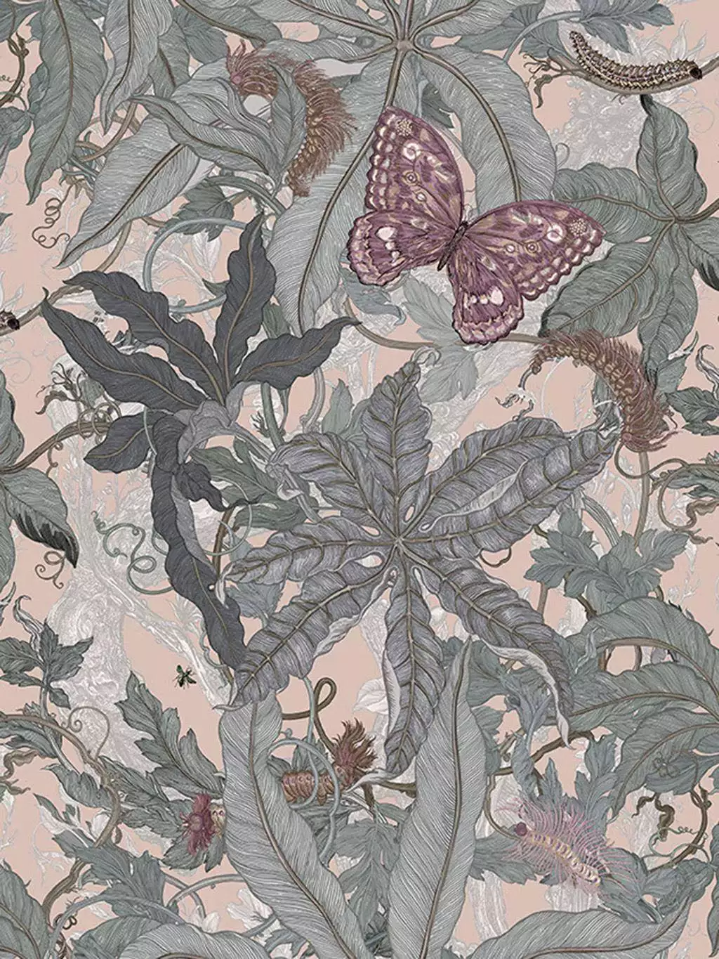 Grandifolius, col. 05