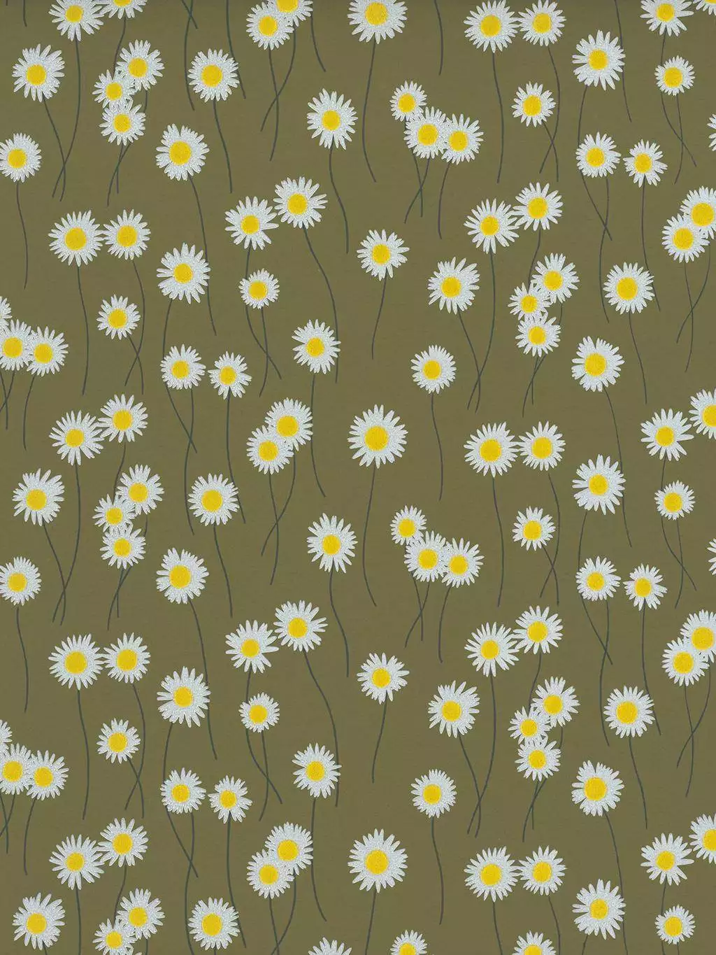 Moon Daisies, Olive