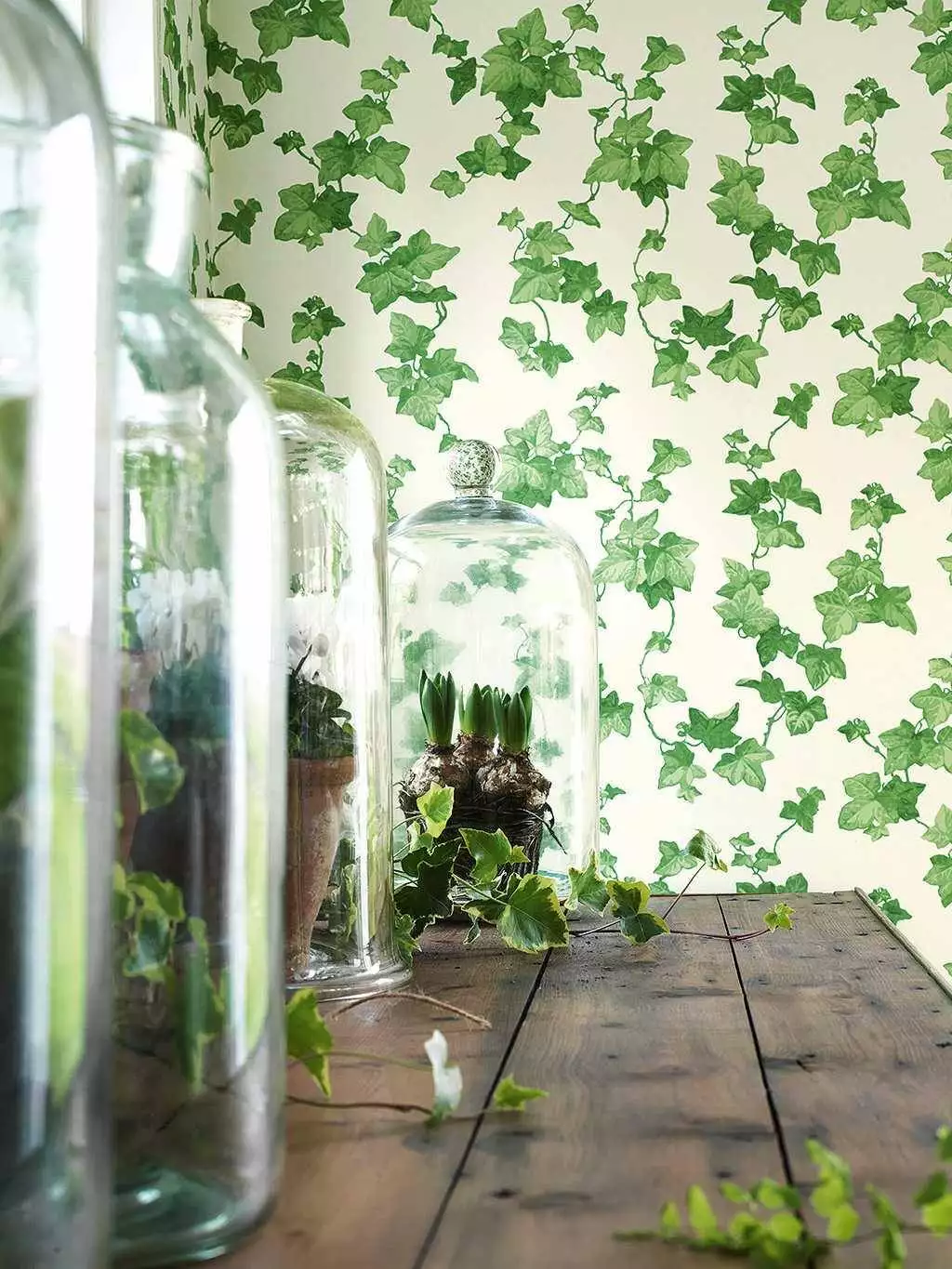 Hedera, Green - Blätter - Grün - Weiß - Sanderson 