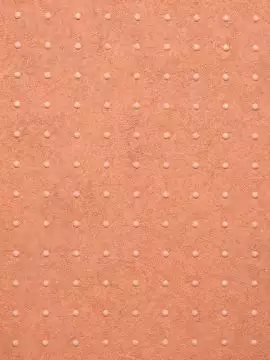 Dots, Apricot Orange - 31024