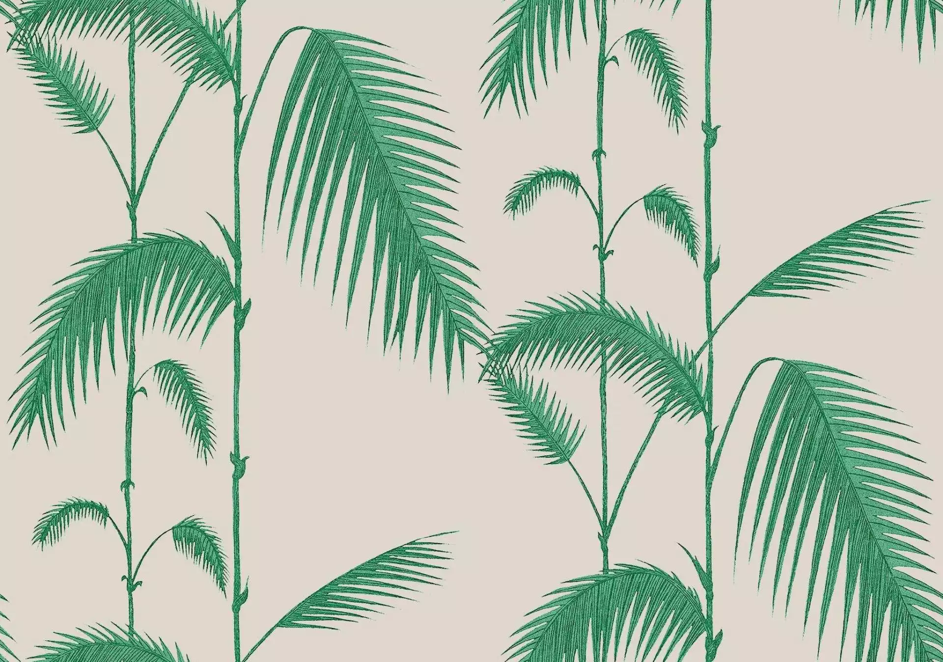 Palm Leaves, col. 11 - Blätter - Creme - Grün - Hellbraun - Cole & Son