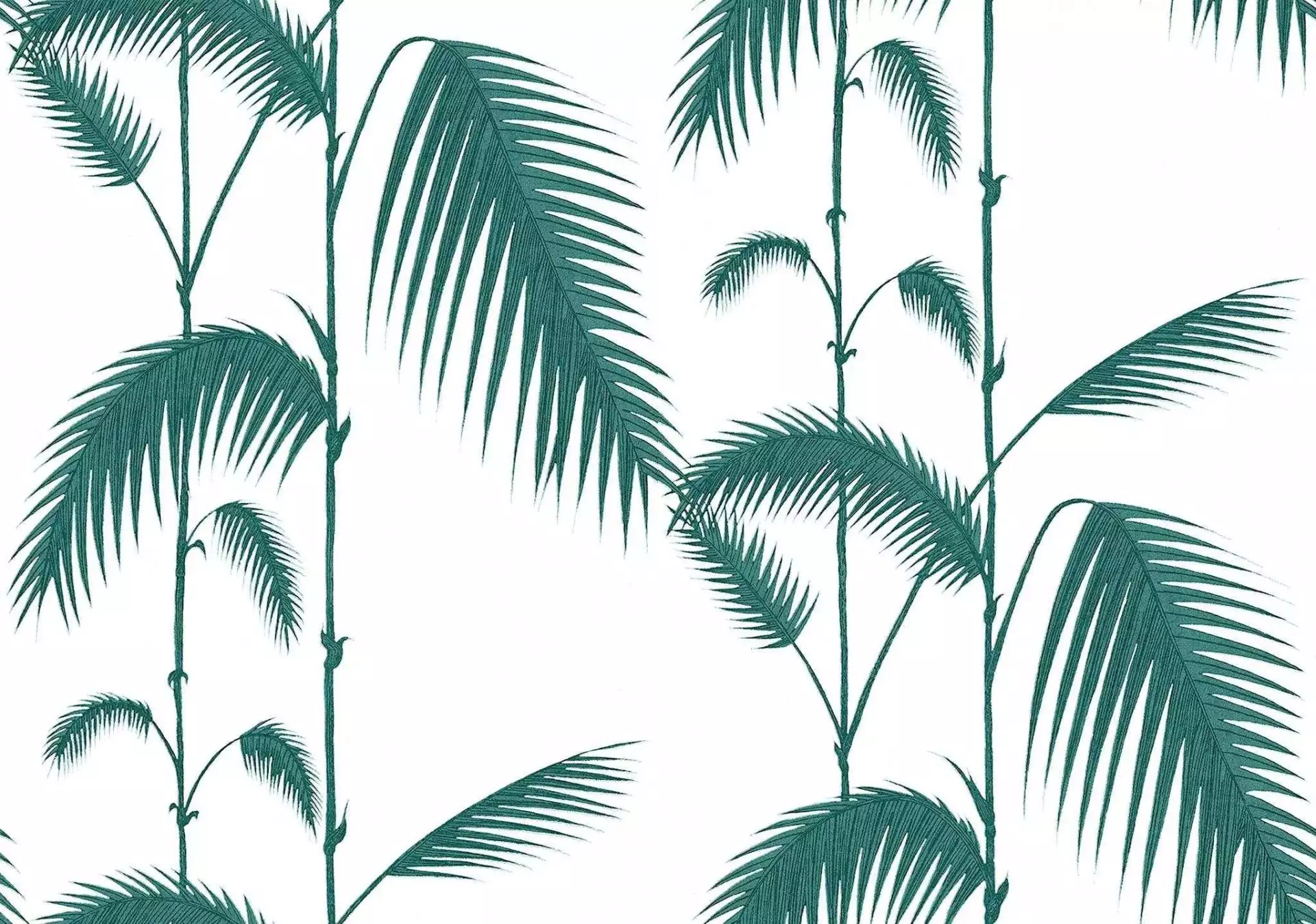 Palm Leaves, col. 12 - Blätter - Florale Muster - Anthrazit - Grün - Weiß - Cole & Son