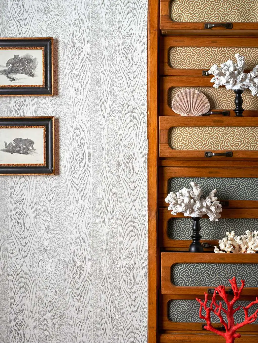 Wood Grain, col.05 - Holzdesign / Holzoptik - Holzdesign / Holzoptik: - Zeichnungen - Anthrazit - Weiß - Cole & Son