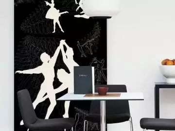 Panel Ballet