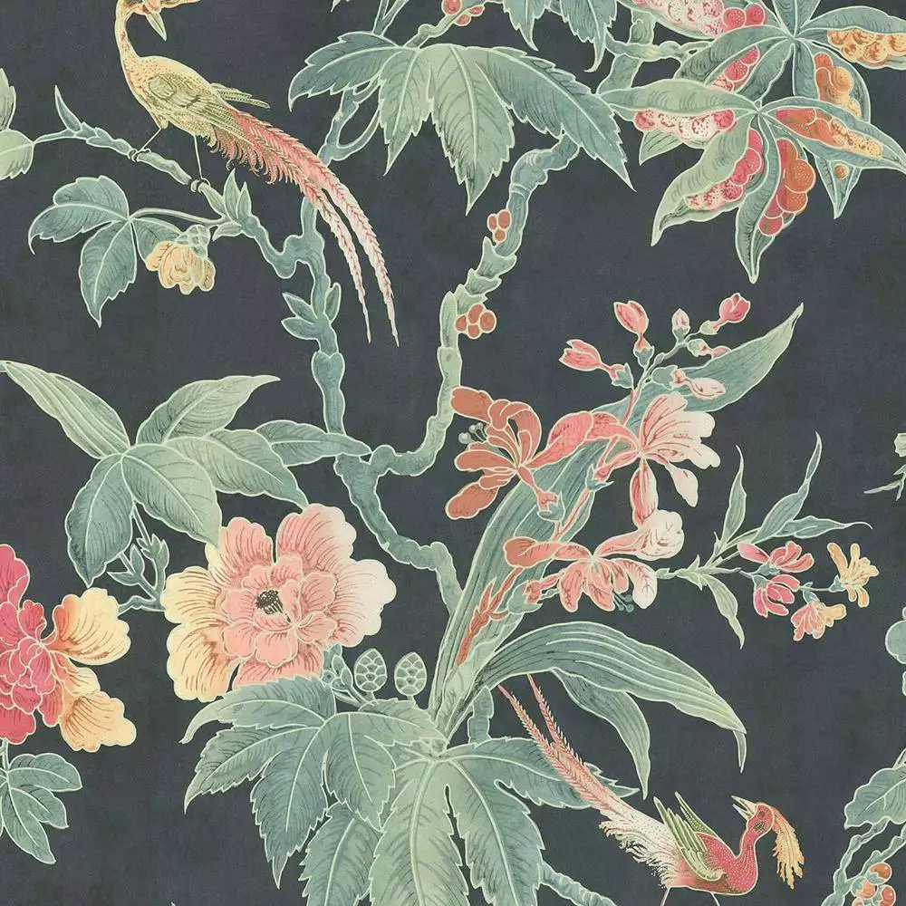 Paradise, Nightshade