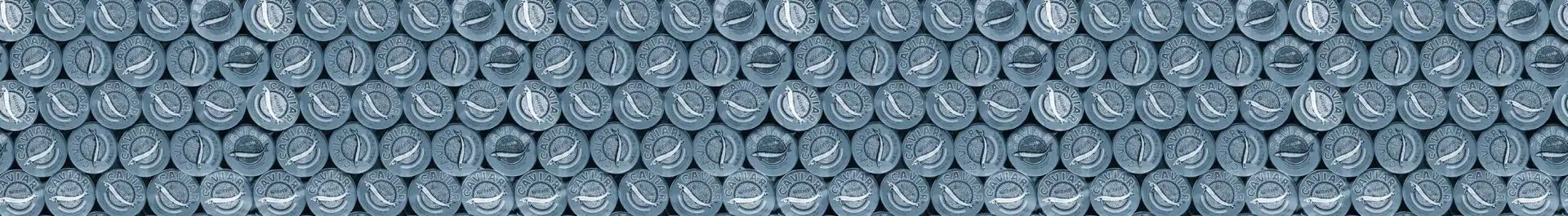 Caviar Bordüre - Gegenstände - Kunst - Blau - Grau - Carlos