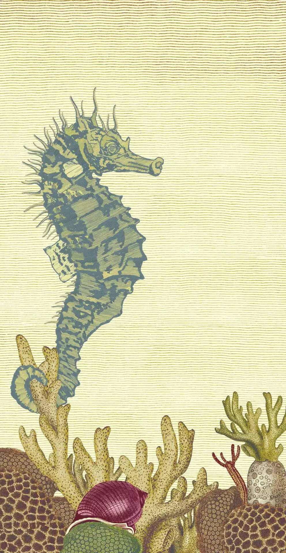 Seahorse, col.02 - Tier Tapeten - Unterwasserwelt - Creme - Gelb - Petrol - Rot - TapetenAgentur