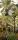 DISCOVER OASIS, col. 03 - Blumen - Blätter - Bäume - Landschaft - Tapeten mit Vogelmotiven - Tier Tapeten - Multicolor - Masureel Distribution