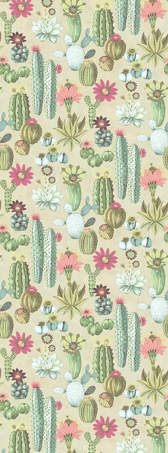 Vivid Cacti - Blumen - Multicolor - Eijffinger