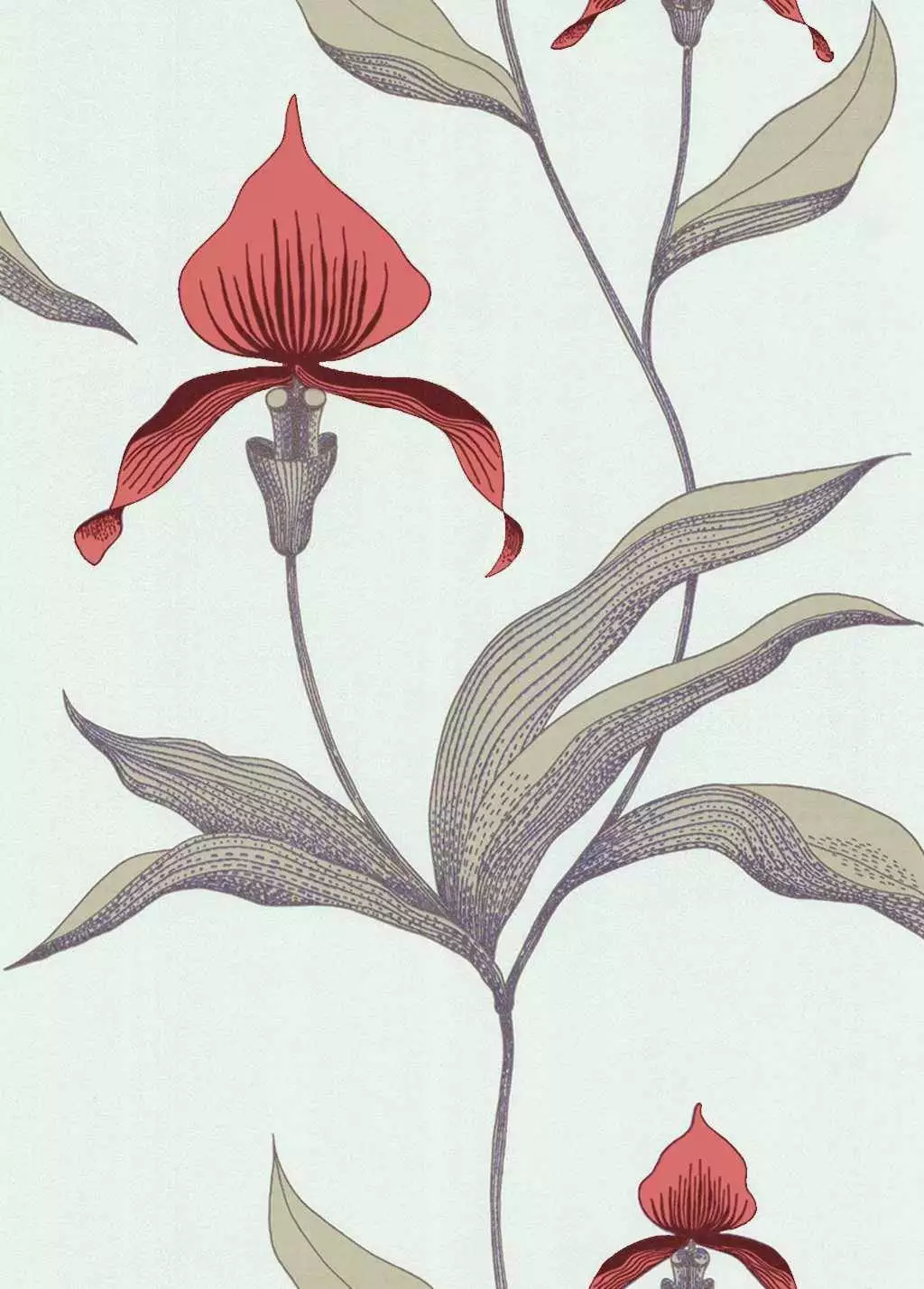 Orchid No. 33 - Blumen - Braun - Hellgrün - Olive - Rot - Cole & Son