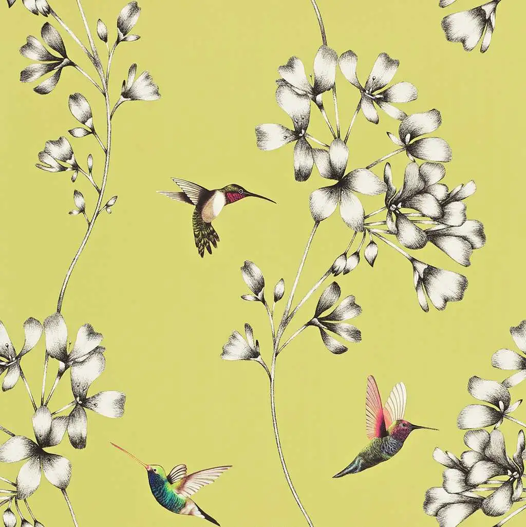 Ricka, col.01 - Blumen - Tapeten mit Vogelmotiven - Anthrazit - Creme - Multicolor - Olive - Sanderson 