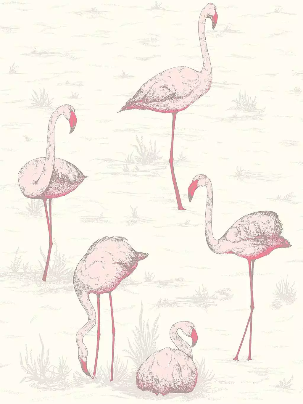 Flamingos, col. 05 - Flamingos - Tapeten mit Vogelmotiven - Grau - Pink - Rosa - Weiß - Cole & Son