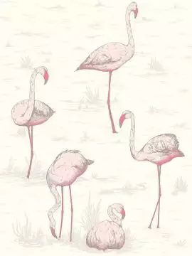 Flamingos, col. 05