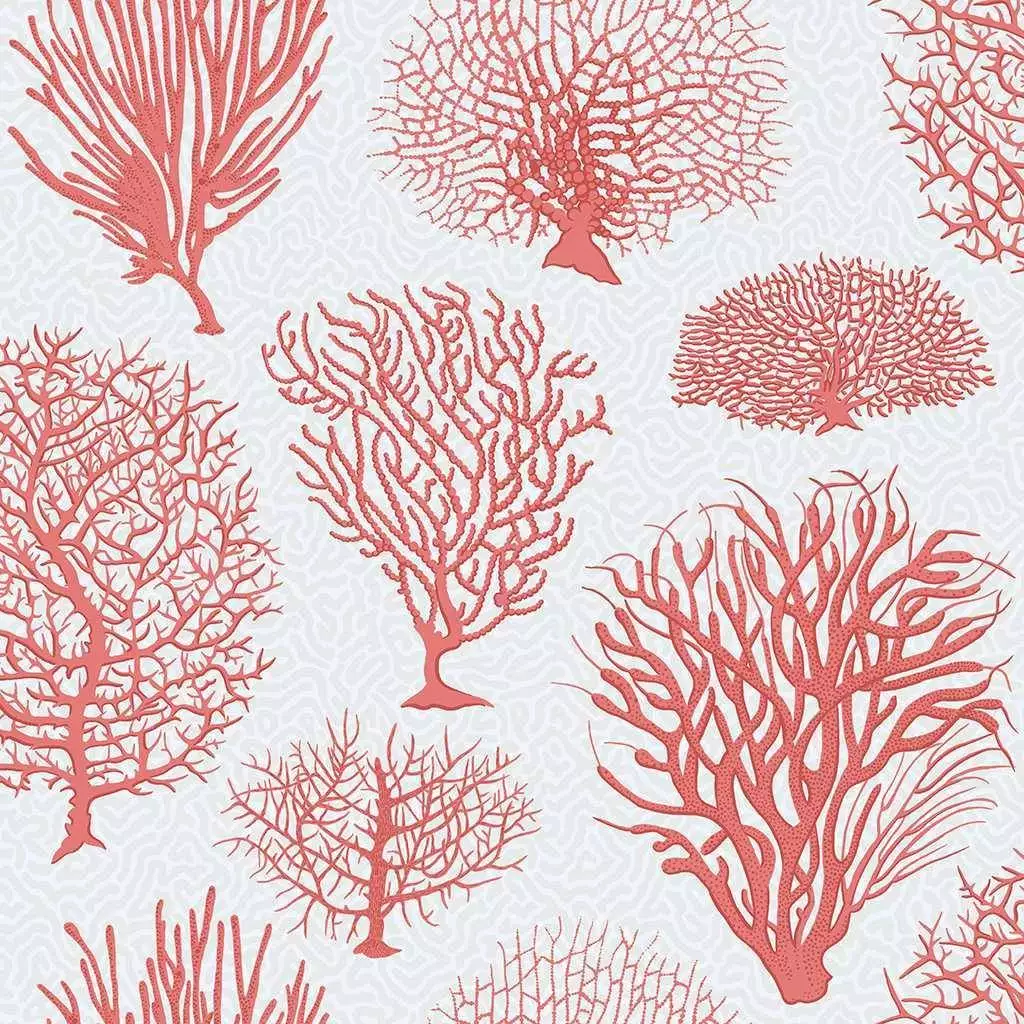 Seafern, col. 11 - Korallen - Unterwasserwelt - Rot - Weiß - Cole & Son