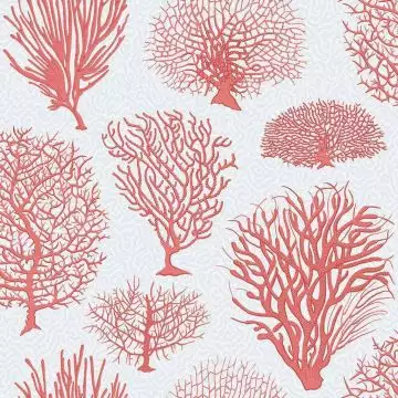 Seafern, col. 11