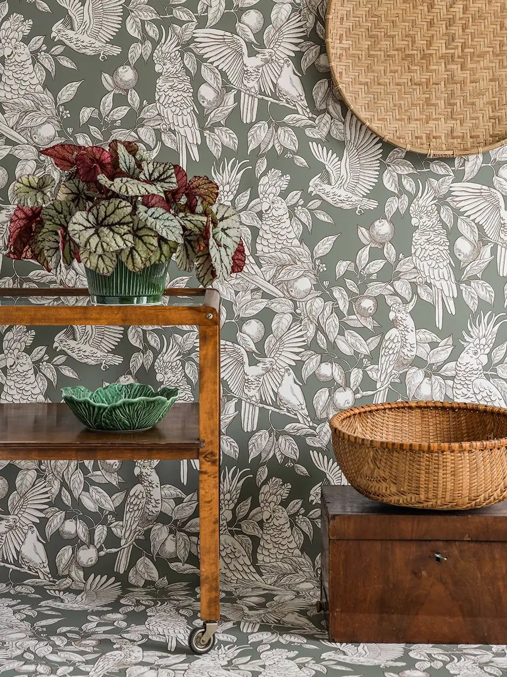 TALK ABOUT COCKATOOS SAGE GREEN - Blätter - Früchte - Tapeten mit Vogelmotiven - Tier Tapeten - Äste - Braun - Creme - Grün - LÅNGELID / VON BRÖMSSEN