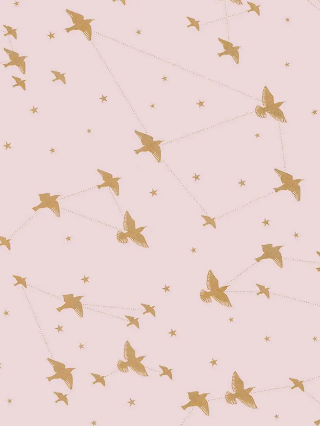 Star-ling, rose marais & gold - Sterne - Tapeten mit Vogelmotiven - Rosa - Mini Moderns