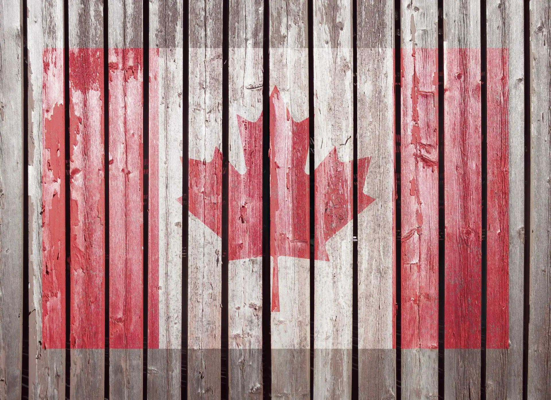 flags, col.02 - Collage - Fahne - FotoTapeten - Holzdesign / Holzoptik - Holzdesign / Holzoptik: - Rot - Weiß - Carlos