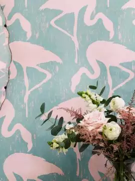 Flamingos, col. 69