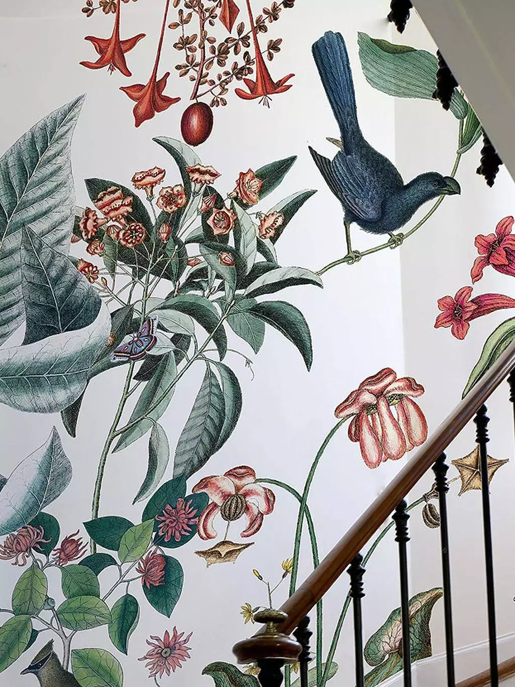 Bahamas, Large - Blätter - Tapeten mit Vogelmotiven - Tier Tapeten - Multicolor - Bien Fait