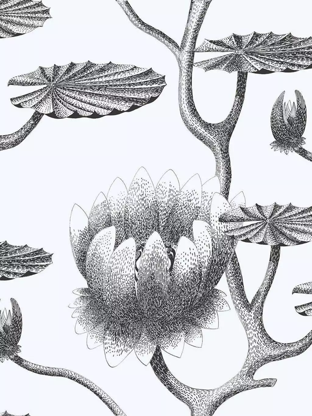 Lily, col. 20 - Blumen - Cole & Son