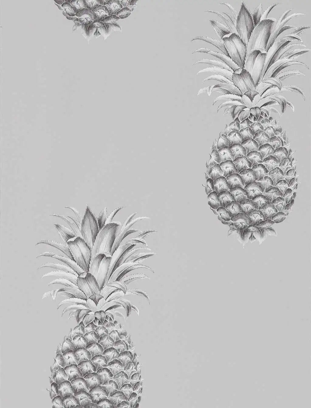 Pineapple Royale, col.03 - Früchte - Perlmutt - Sanderson 