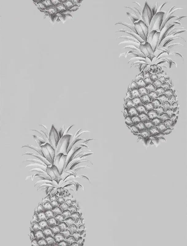 Pineapple Royale, col.03