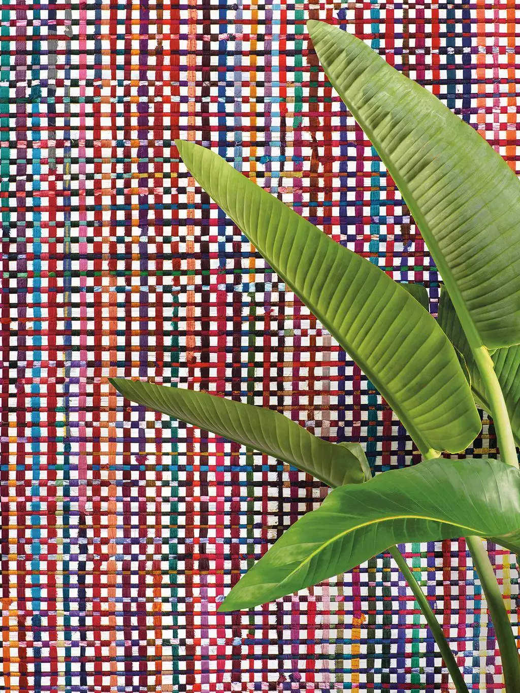 Extravaganza, col. 62 - Moderne Muster - Naturfaser - Textil & NaturTapeten - Multicolor - OMEXCO